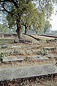 The archeologica excavations of the site of Sarnath 